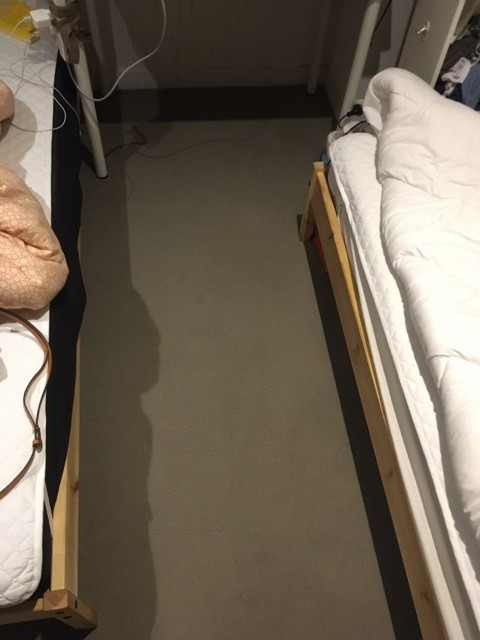 Carpet After.jpg