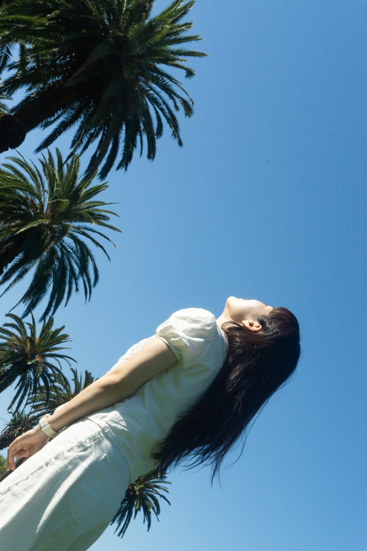 DSC04653.jpg