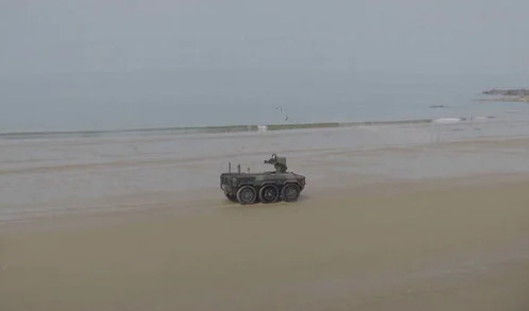 231.jpg